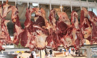استقراراللحوم الحمراء وارتفاع البيضاء بالخرطوم