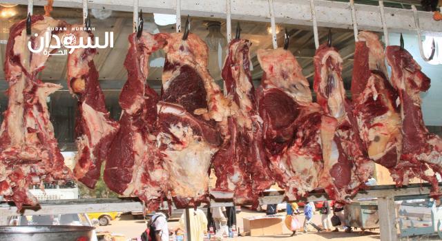 استقراراللحوم الحمراء وارتفاع البيضاء بالخرطوم