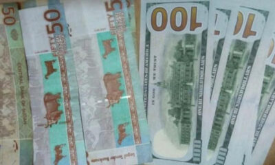 أسعار جديدة للدولار وبقية العملات الأجنبية