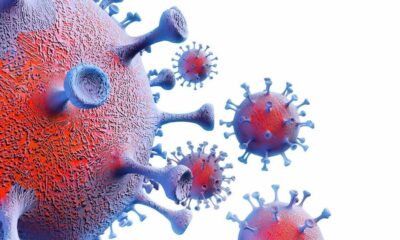 الطوارئ الصحية تعلن انخفاض موجة الإصابة بكورونا – باج نيوز