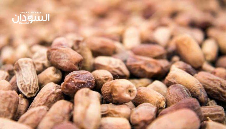 عادل السرّ يكشف خطة لترقية وتخزين وتسويق التمور – السودان الحرة
