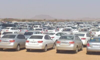 اتجاه بوضع لوحات حكومية على عربات (البوكو) المصادرة