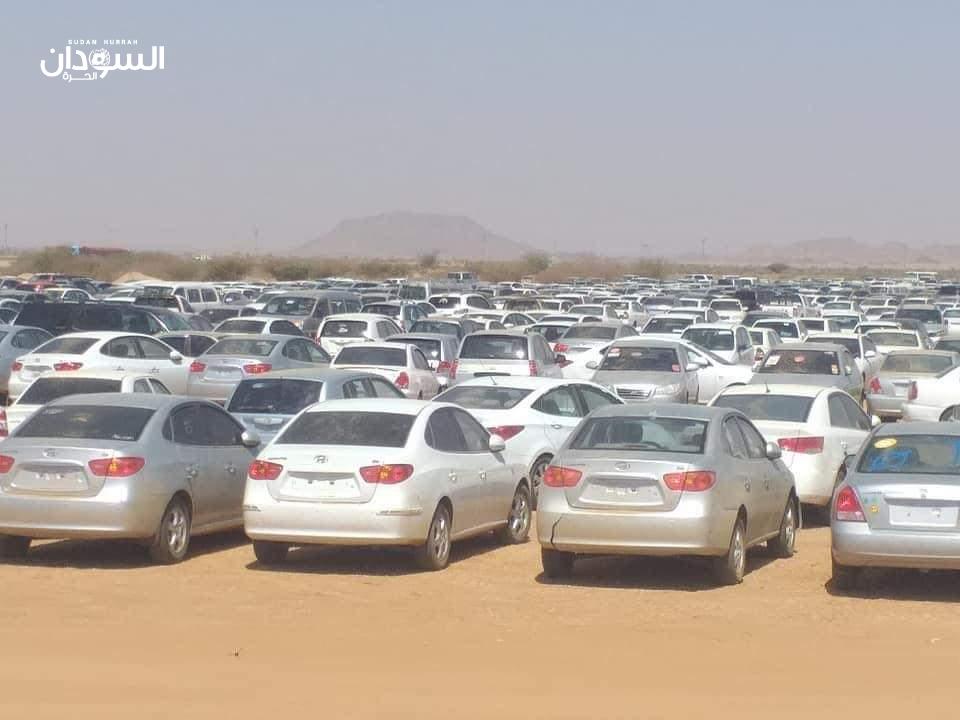 اتجاه بوضع لوحات حكومية على عربات (البوكو) المصادرة