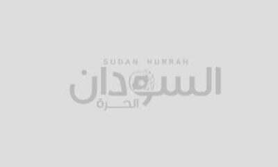 عاملون بمعهد العلوم القضائية يحتجون على عودة المديرة التي فصلتها لجنة التمكين