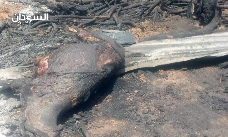 إشتباكات في الكدرو - السودان الحرة