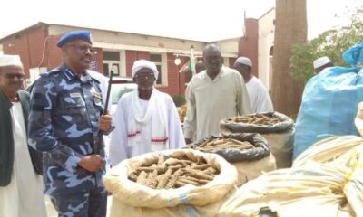 السلطات السودانية تضبط مخدّرات بقيمة”35″ مليون جنيه – السودان الحرة