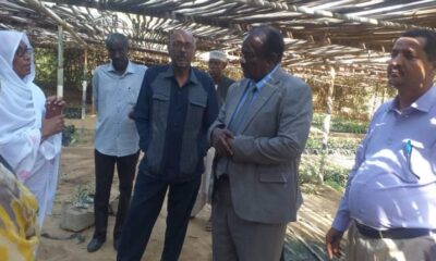 الوزارة ملتزمة بقرار تجميد إستيراد البرتقال – السودان الحرة
