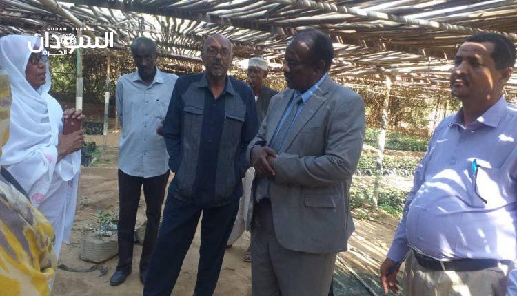 الوزارة ملتزمة بقرار تجميد إستيراد البرتقال – السودان الحرة