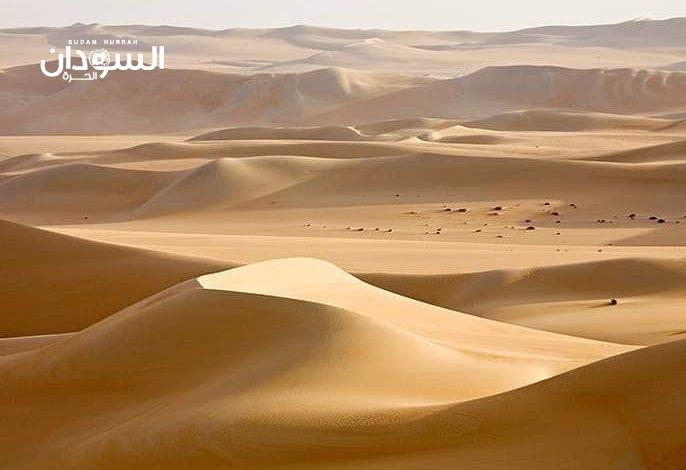 عصابات أجنبية مسلحة تختطف مواطنين في الصحراء