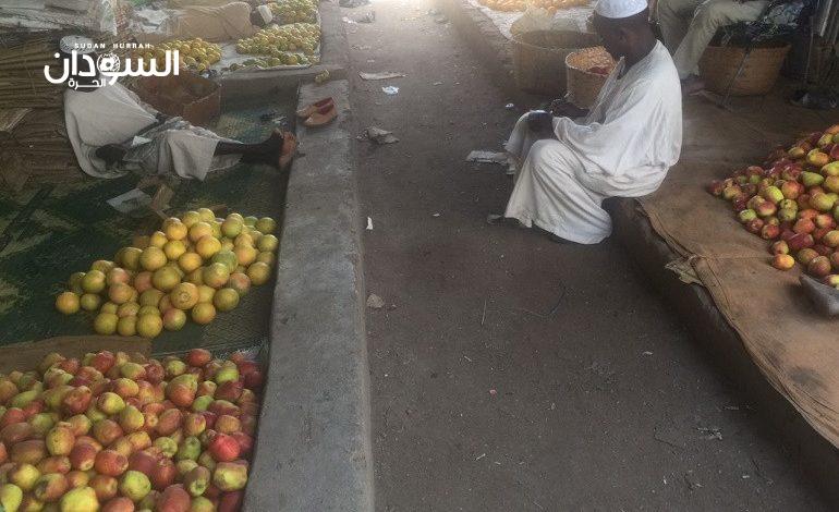 تفاح جبل مرة ملقي على الطرقات