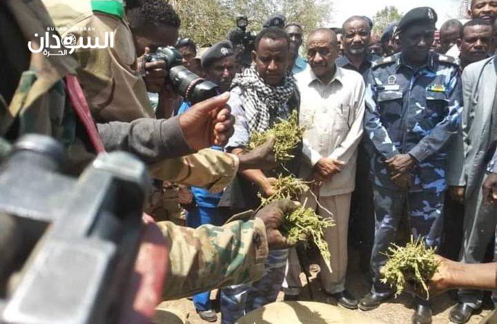 تجار مخدرات يفلتون من كمين المخابرات والإستخبارات