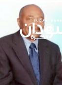 الأمة القومي: كثير من قوى الداخل ترفض الآلية الأممية الإفريقية