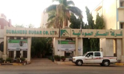 اجتماعات حكومة تبحث أسباب تراجع إنتاج السكر – السودان الحرة