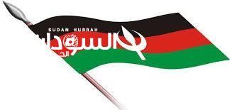 الأمة القومي: الإعلان عن توافق القوى السياسية منتصف الأسبوع المقبل