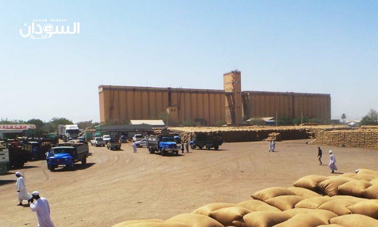 مفاجآت في أسعار الذرة والدخن والسمسم