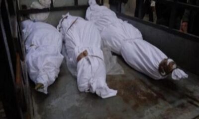 الانتباهة:”الفئران” تلتهم الجثث المجهولة بالمشارح – السودان الحرة