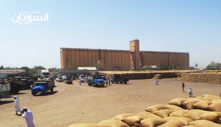 في سابقة أولى.. سعر الذرة يتخطى قنطار السمسم – السودان الحرة