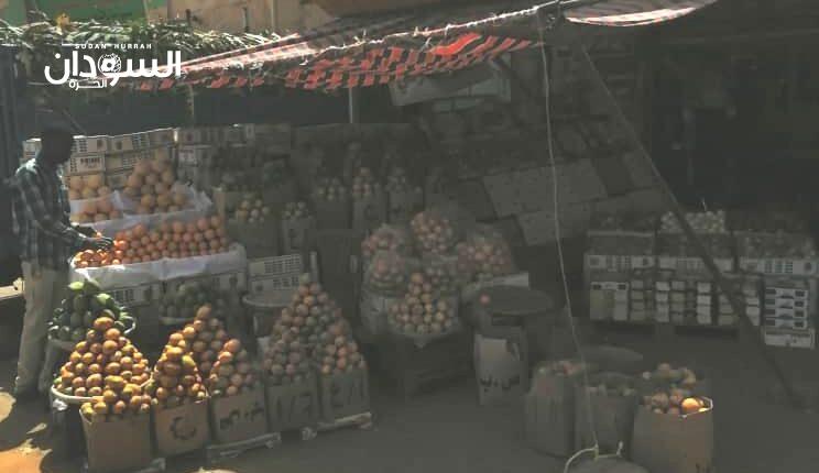”12″ مليون دولار خسائرنا جراء استيراد البرتقال المصري – السودان الحرة
