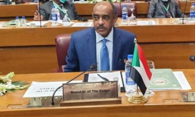 تفاصيل لقاء وزير الخارجية بالسفير الروسي