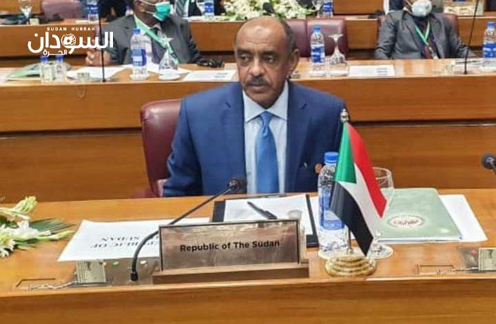تفاصيل لقاء وزير الخارجية بالسفير الروسي