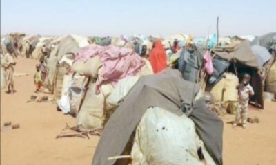 نازحو غرب دارفور   بين متاهة الحرب والجوع!!
