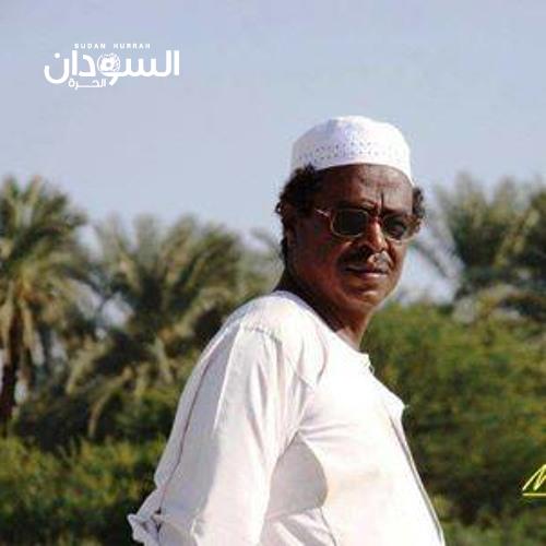 الشاعر محمد الحسن حسن سالم (حميد) يا حسرة على مشروع لم يكتمل بعد!