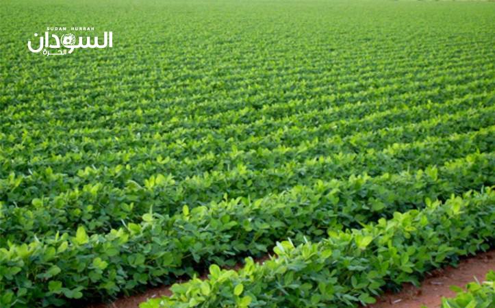 بدء الاستعداد للموسم الصيفي