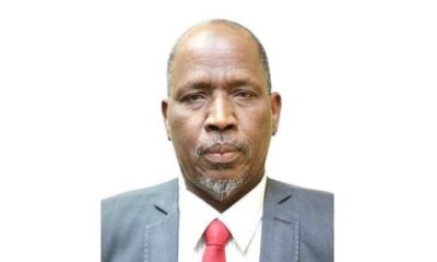 مدير جديد للبنك الزراعي - السودان الحرة