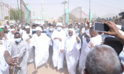دقلو في مسيد الشيخ إبراهيم الكباشي