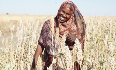 السودان: الحفاظ على إنتاج الغذاء في زمن الحرب