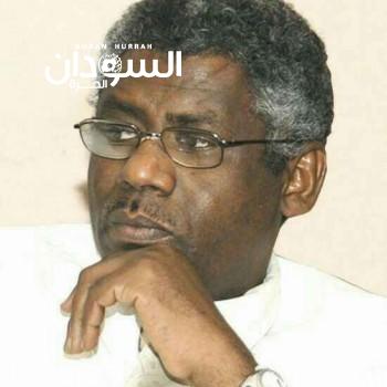 المسيّرات… حرب السعودية ومصر!! – السودان الحرة