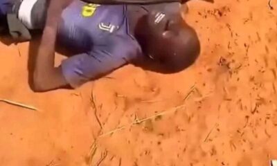 دهس الشهيد”عزو”.. هلاك الحاج الخليل – السودان الحرة