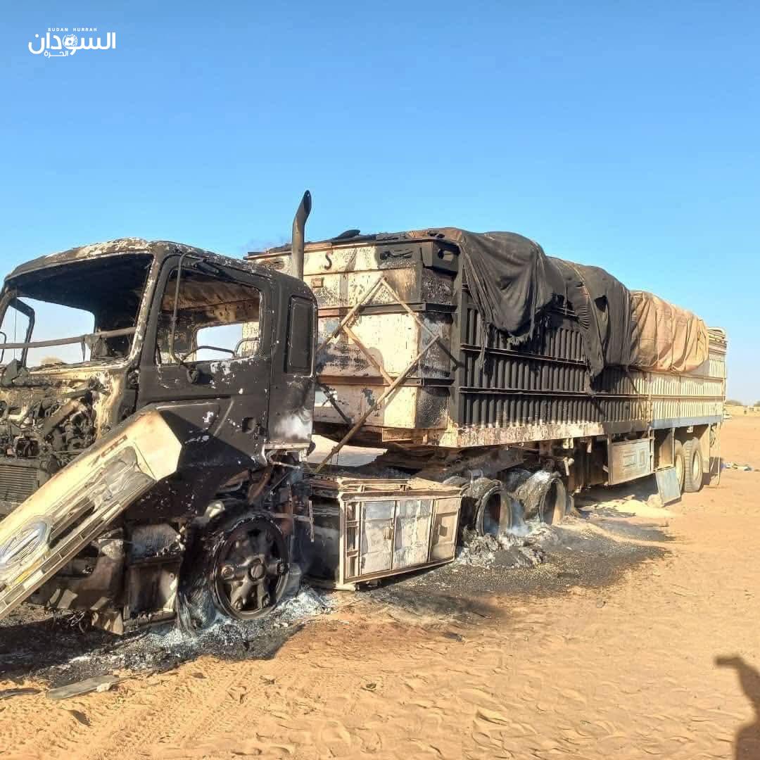 مجلس الأمن الدولي يدين مليشيا الدعم السريع ويطالب بحماية قوافل المساعدات الإنسانية ويدعو لتنفيذ قراره حول الفاشر