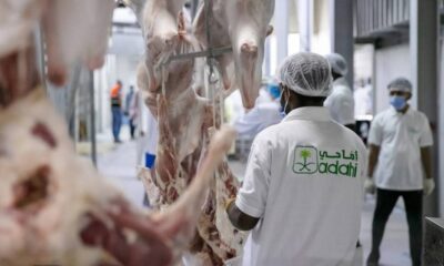 مشروع السعودية للإفادة من الهدي والأضاحي ينفذ ۲۸۷ ألف أضحية في يوم النحر