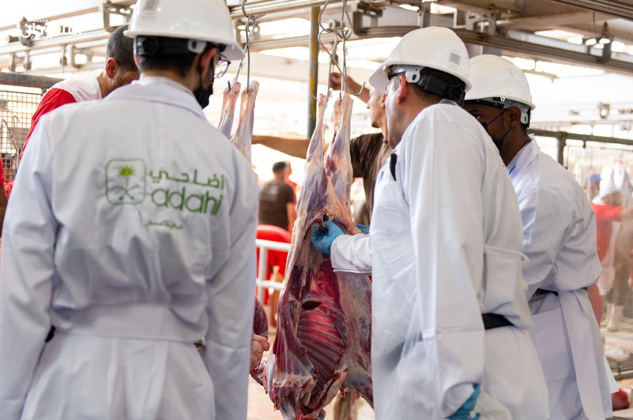 (أضاحي): أكثر من 820 ألف أضحية تُحفظ بتقنيات التجميد الصناعي الحديثة في السعودية للمحافظة على جودة اللحوم وضمان استدامتها