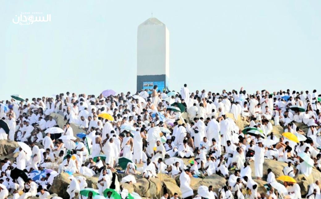 «عرفات» حيث تهفو قلوب المسلمين.. لبيك اللهم لبيك
