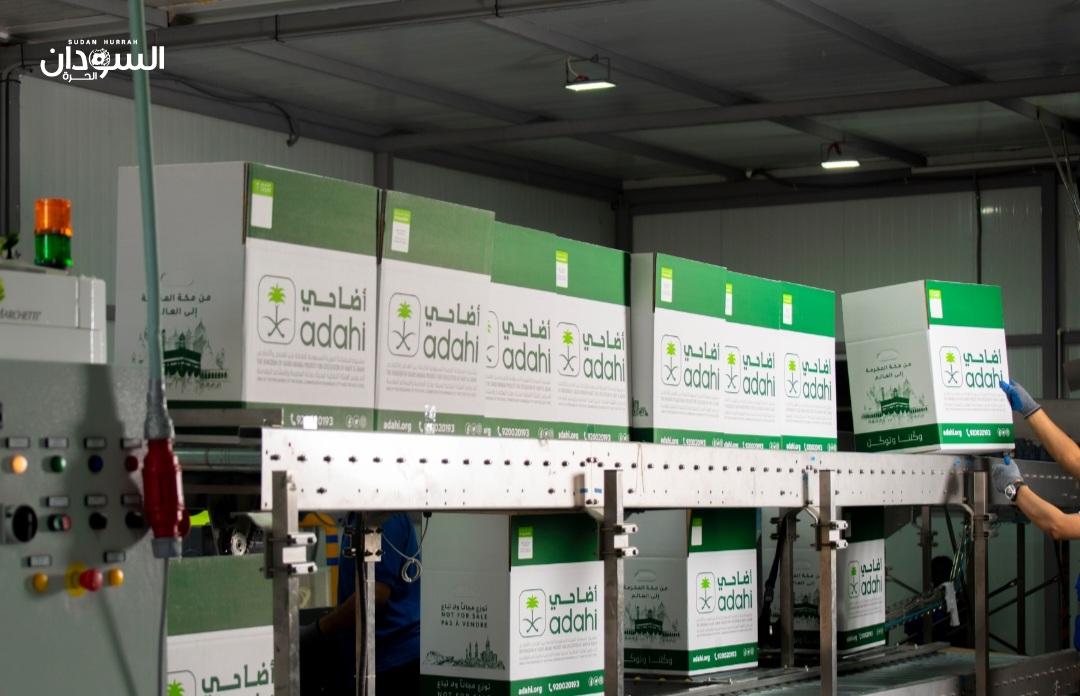 (أضاحي) يختتم موسم الحج بإنجاز استثنائي.. أكثر من 820 ألف رأس وتقنيات متطورة لضمان الجودة